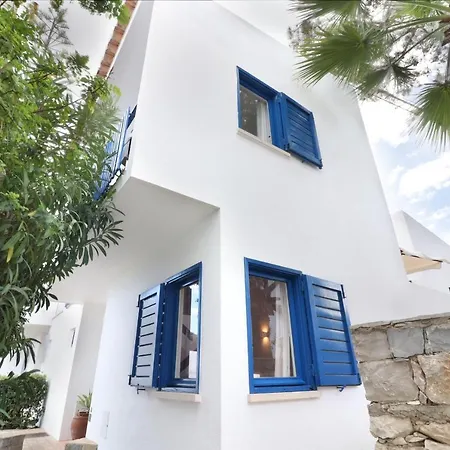 Seagull Rooftop @150 M *